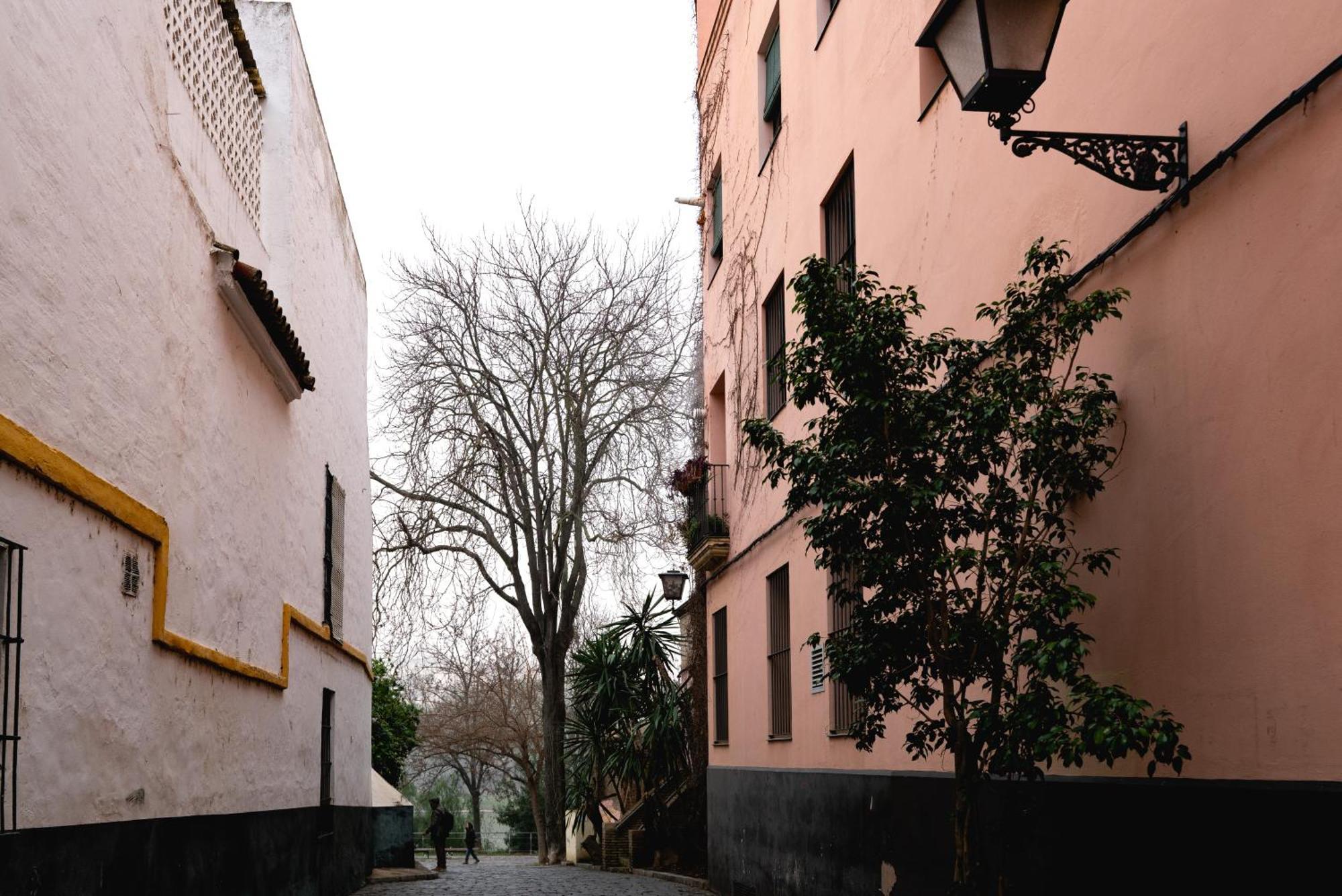 Apartamento Castilla 61 Siviglia Esterno foto